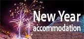 2025-2026 New Year